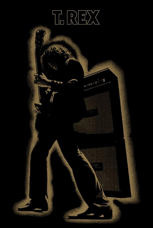 T-Rex: Electric Warrior (2012) poster