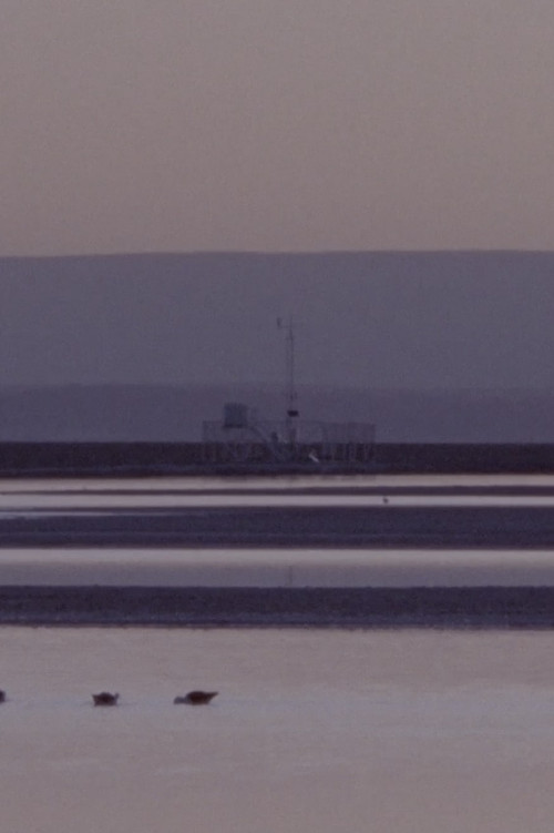 Las nubes caídas (2023) poster