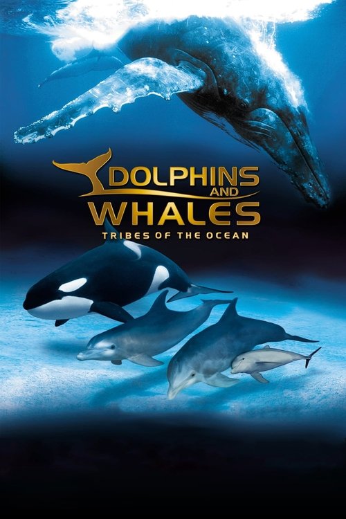 IMAX Dolphins and Whales: Tribes of the Ocean (2008) poster