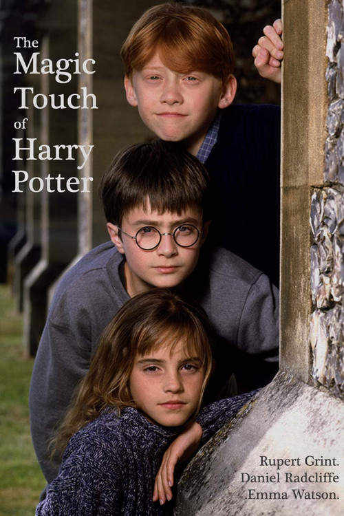 The Magic Touch of Harry Potter (2004) poster