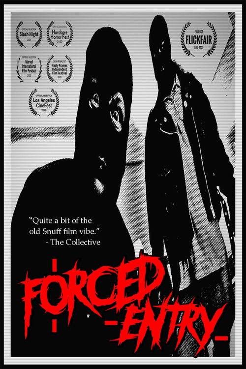 Forced Entry (2020) poster