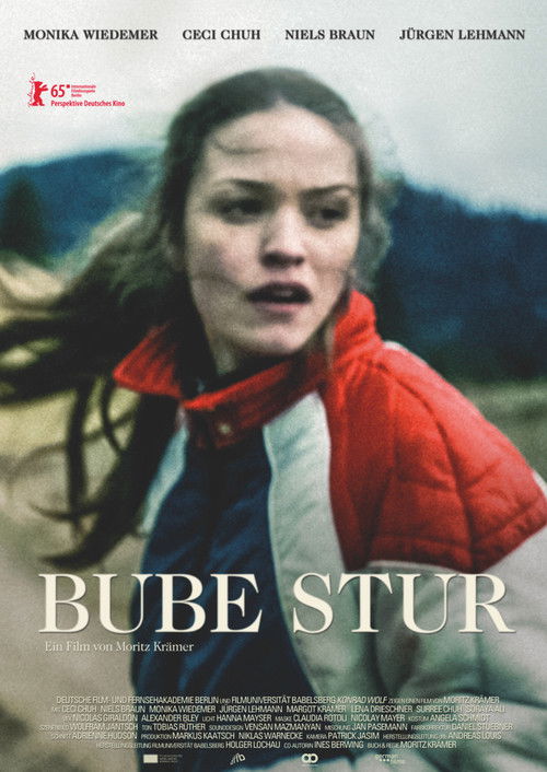 Stubborn Boy (2015) poster