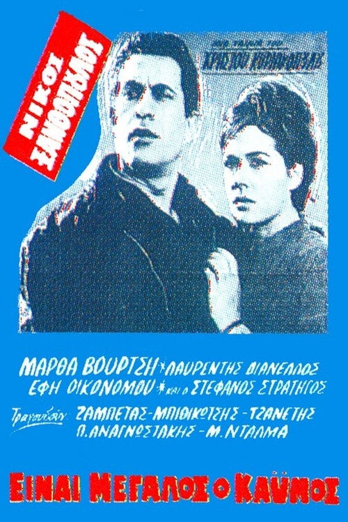It is a great pity (1964) poster