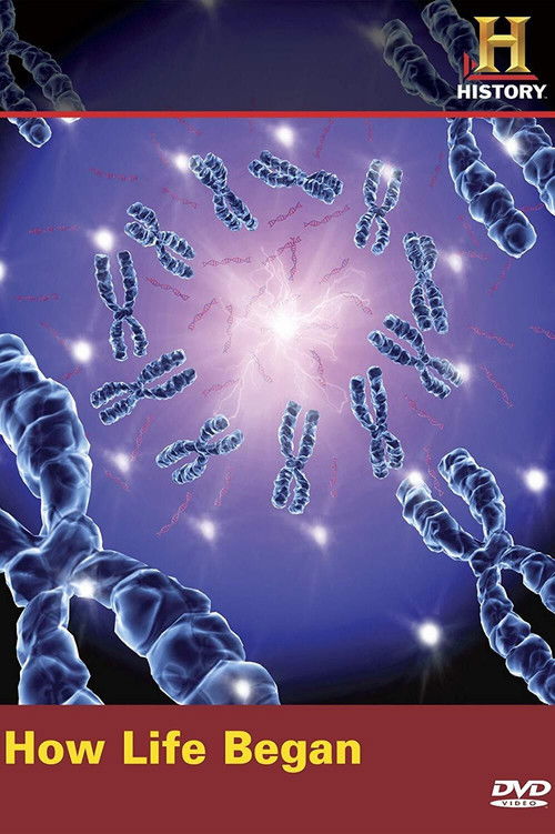 How Life Began (2009) poster