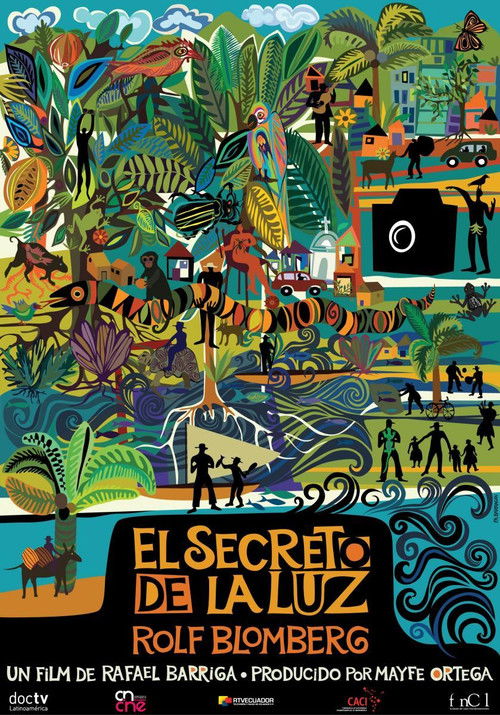 El secreto de la luz (2014) poster