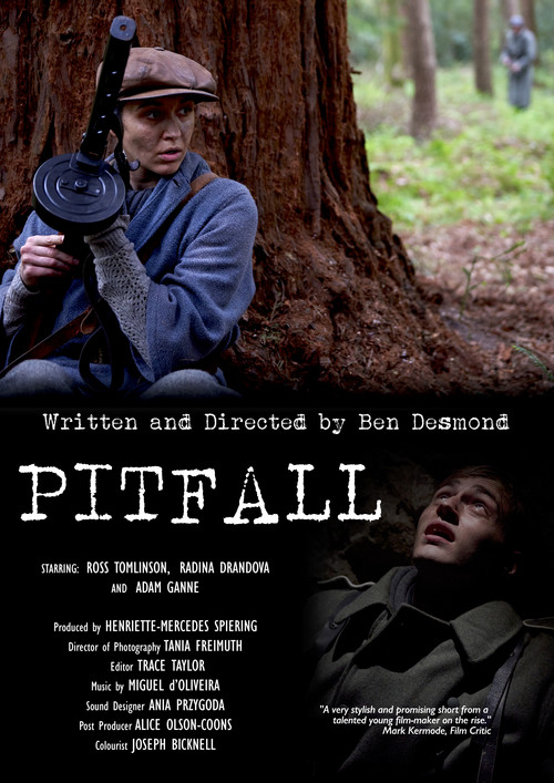 PITFALL (2017) poster