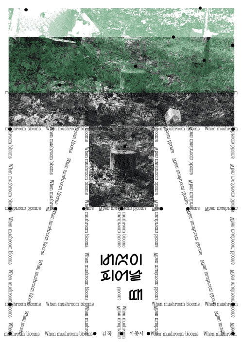 버섯이 피어날 때 (2024) poster