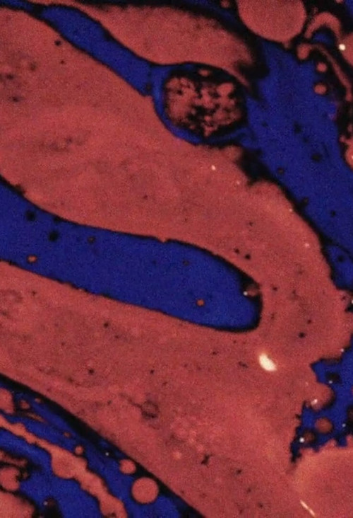 THE BLUE NAIVE AND THE RED BEAST (2020) poster