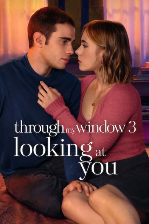 Through My Window 3: Looking at You (2024) poster