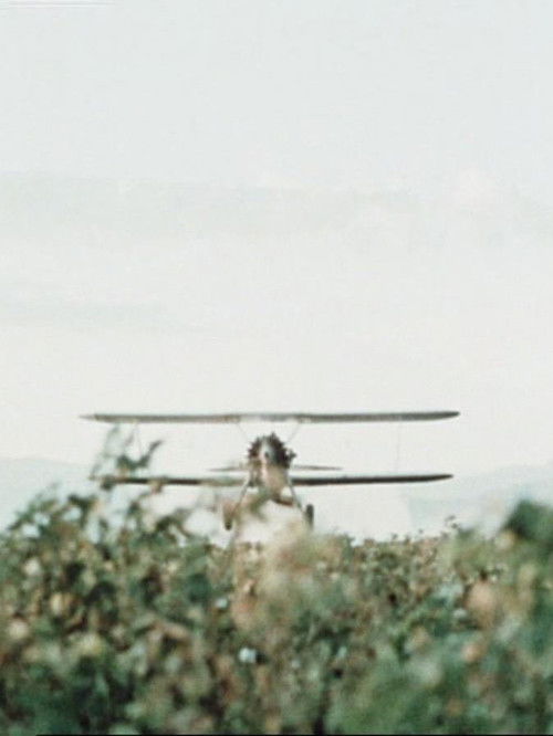 Baumwolle (1960) poster