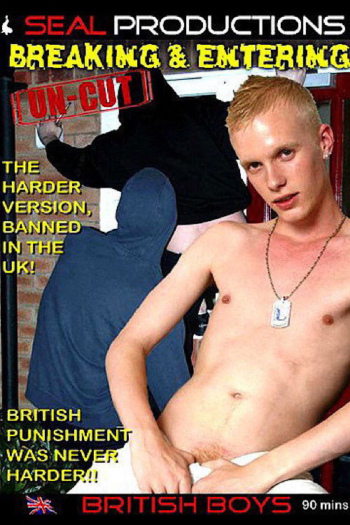 Breaking & Entering (2008) poster