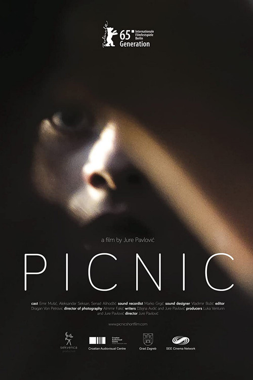Picnic (2015) poster