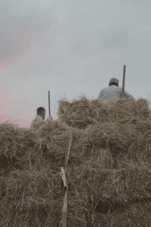 A Crypto Rush Aftermath (2023) poster