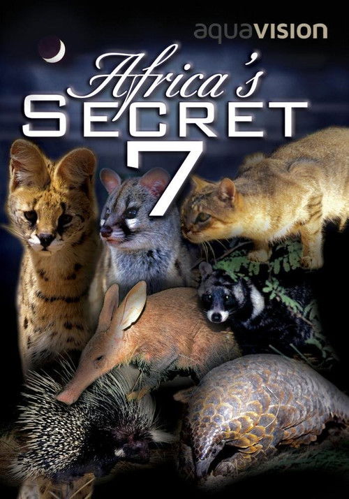 Africa's Secret Seven (2003) poster