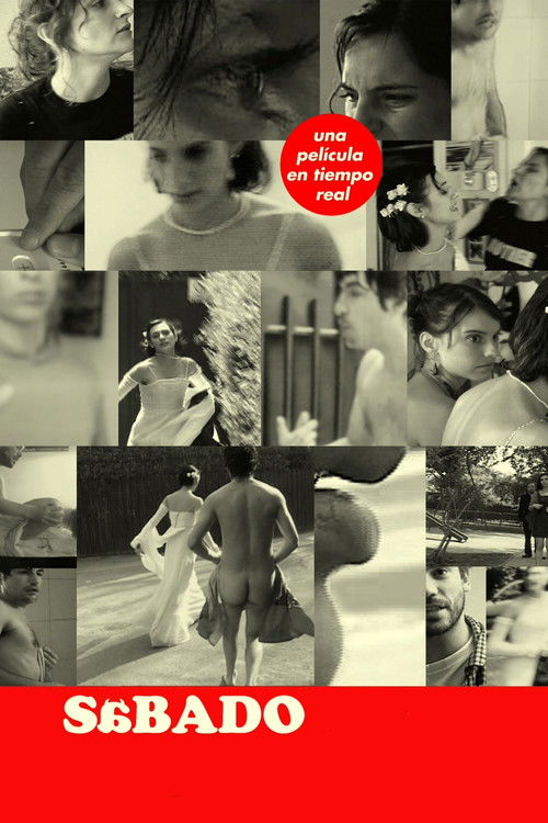 Sábado (2003) poster