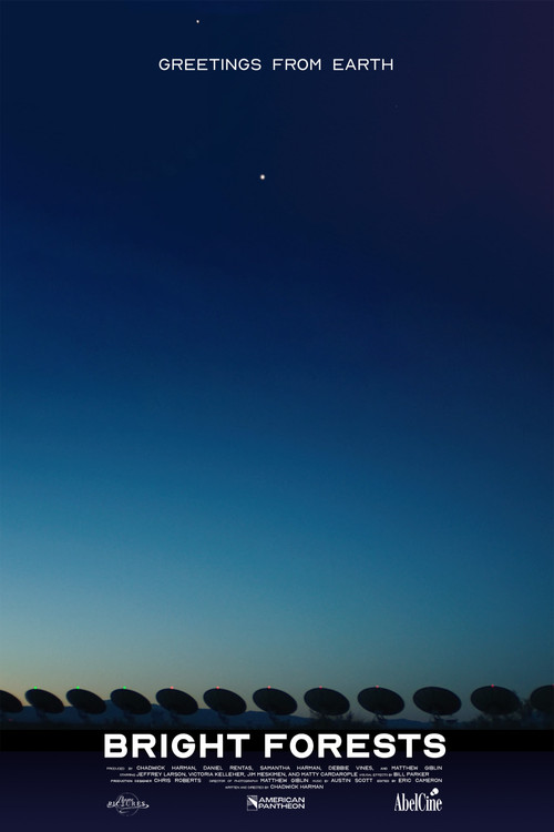 Bright Forests (2024) poster