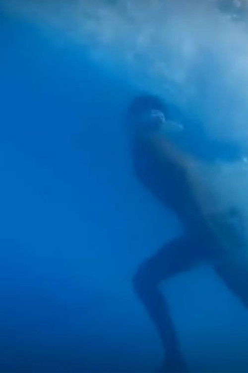 me va a encantar el siglo XXI (2014) poster