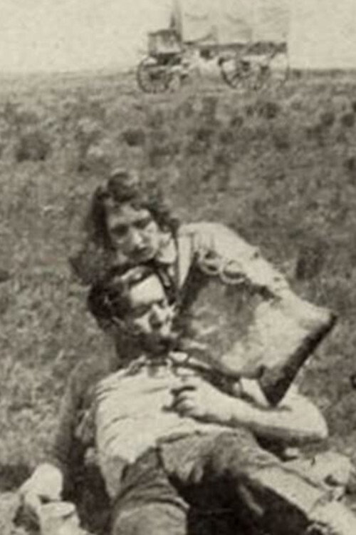 The Brave Deserve the Fair (1915) poster