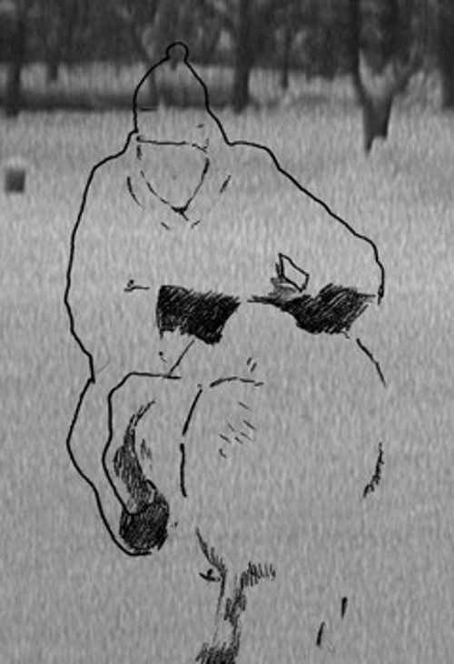 Sound-Shadows (2008) poster