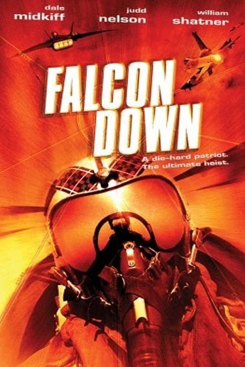 Falcon Down (2001) poster