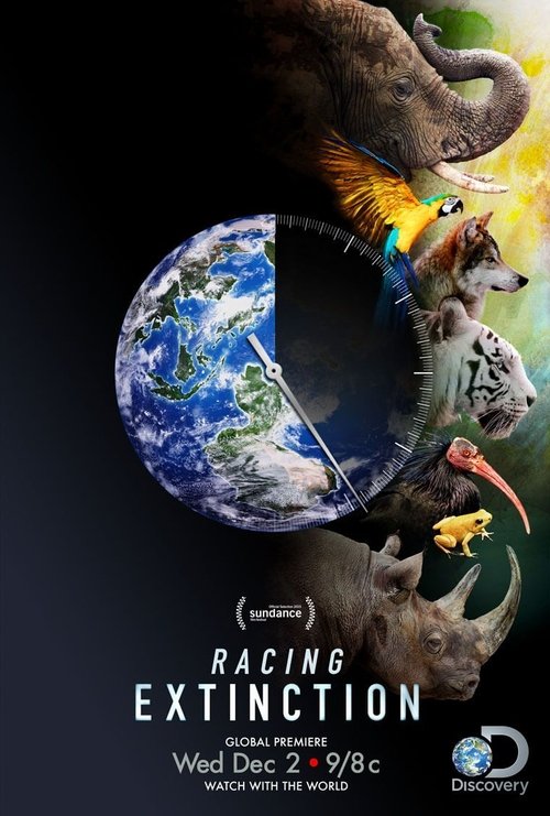 Racing Extinction (2015) poster