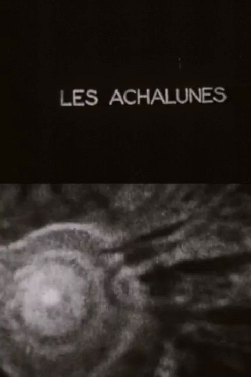 The Achalunés (1959) poster