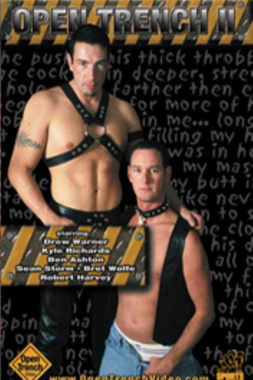 Open Trench 2: Fuck Fantasies (2002) poster