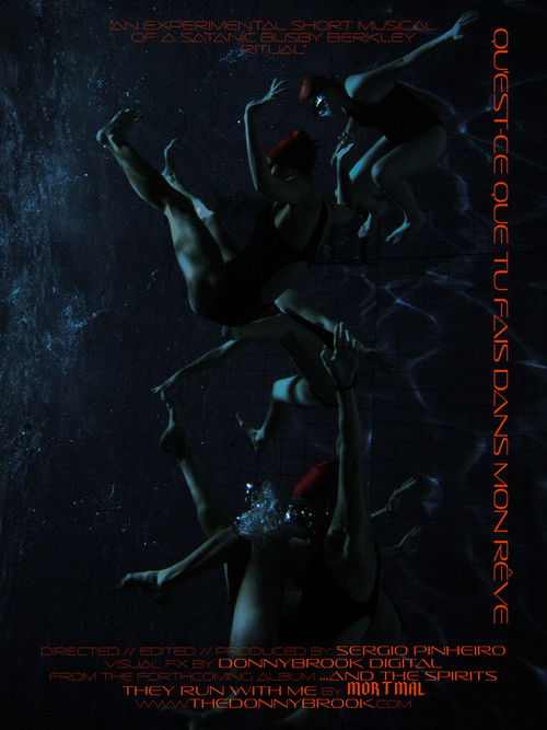 Qu’est-ce Que Tu Fais Dans Mon Rêve (2022) poster