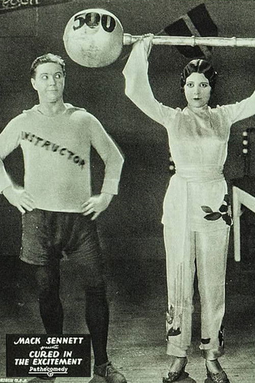 Cured in the Excitement (1927) poster