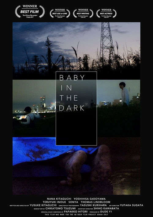 Baby in the Dark (2017) poster