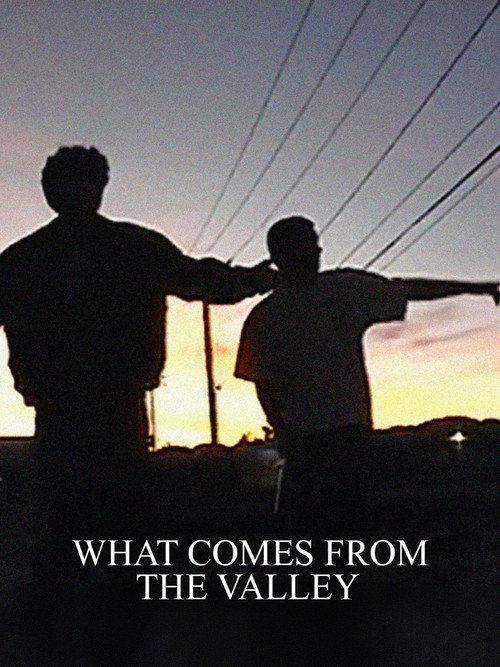 What Comes from the Valley (2026) poster