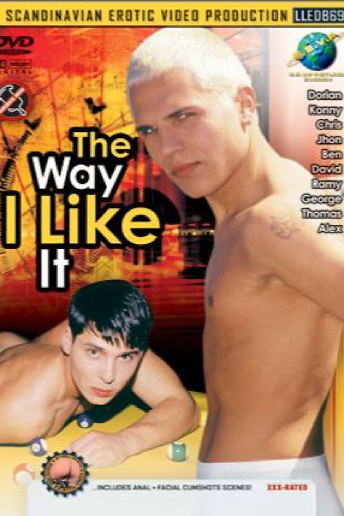 The Way I Like It (2004) poster