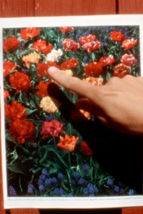On Unshaped Dialogue poster