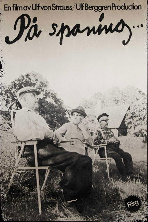 På spaning (1974) poster