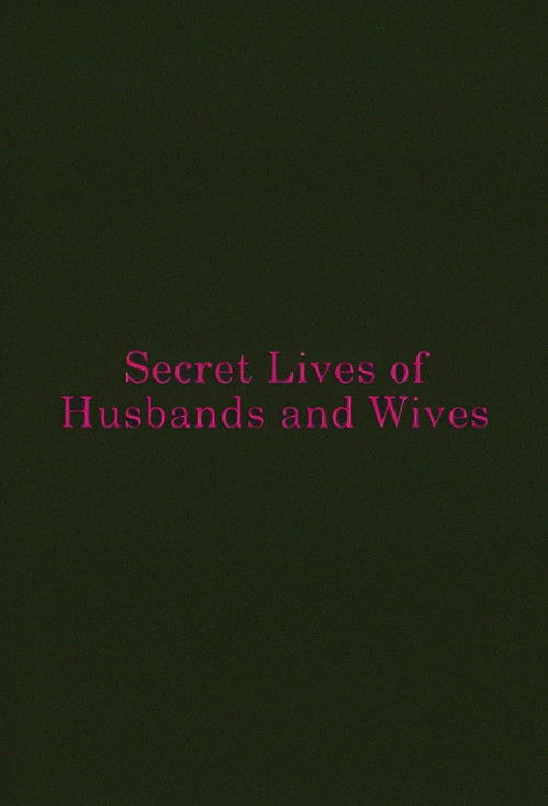 Secret Lives of Husbands and Wives (2013) poster
