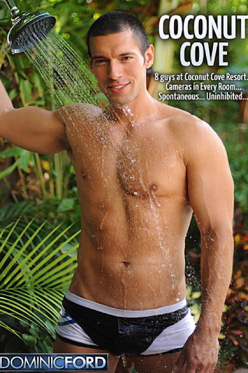 Coconut Cove (2011) poster