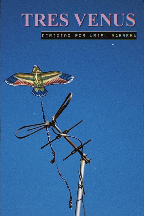 Three Venus (2021) poster