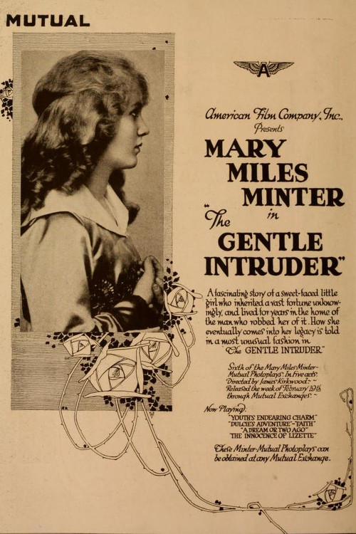 The Gentle Intruder (1917) poster