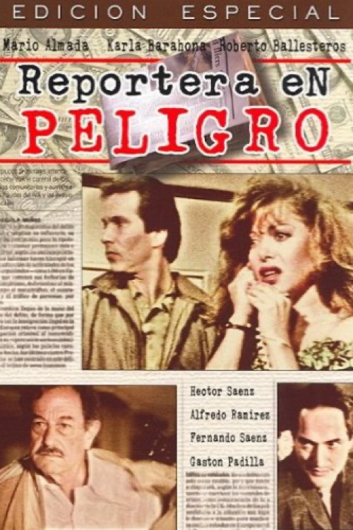 Reportera en peligro (1991) poster