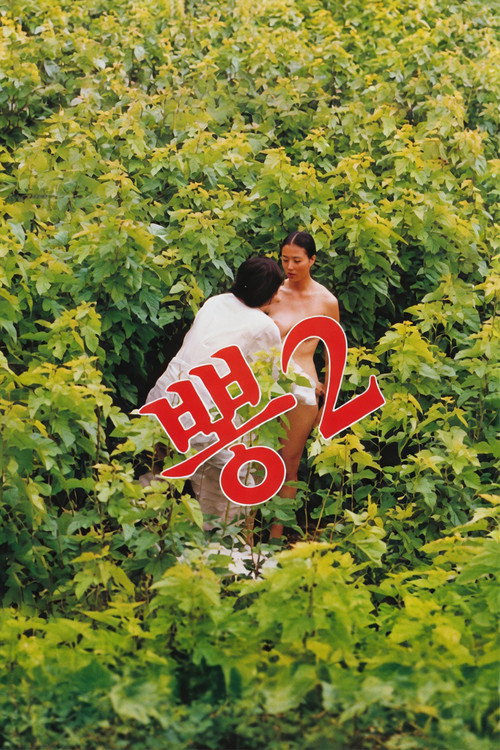 뽕 2 (1988) poster