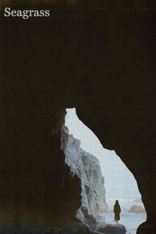 Seagrass (2024) poster