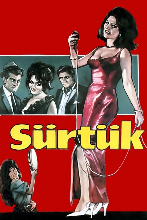 Bitch (1965) poster