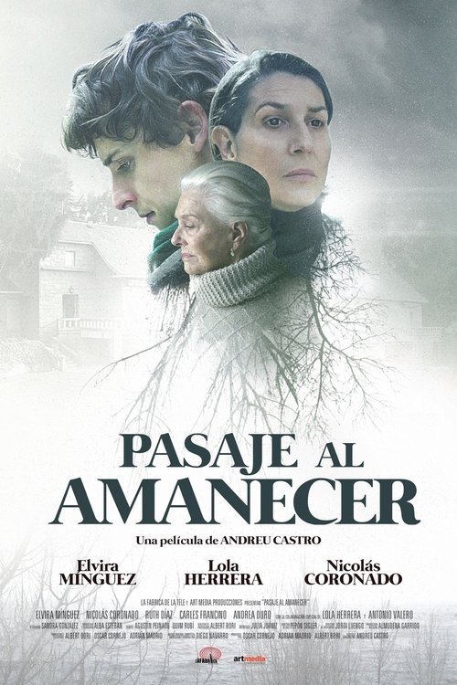Pasaje al amanecer (2017) poster