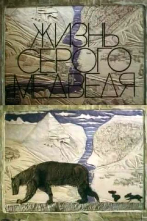 The Life Of A Grey Bear (1994) poster