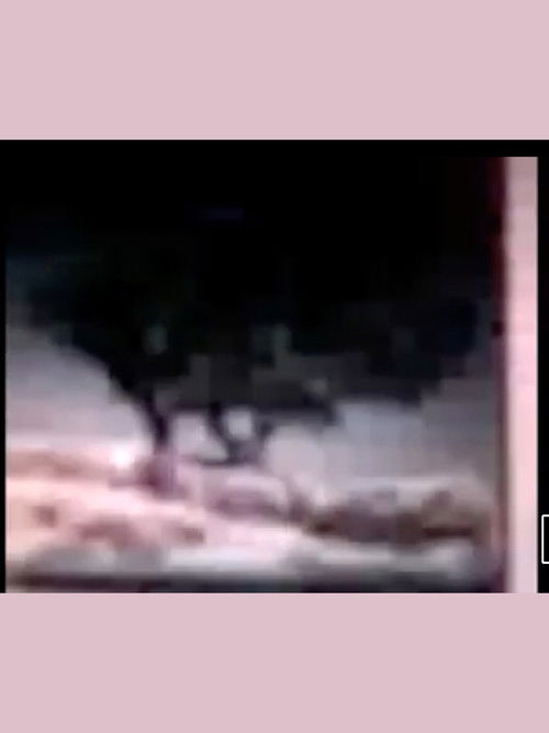 giving, taking (2010) poster