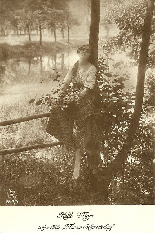 Nur ein Schmetterling (1918) poster