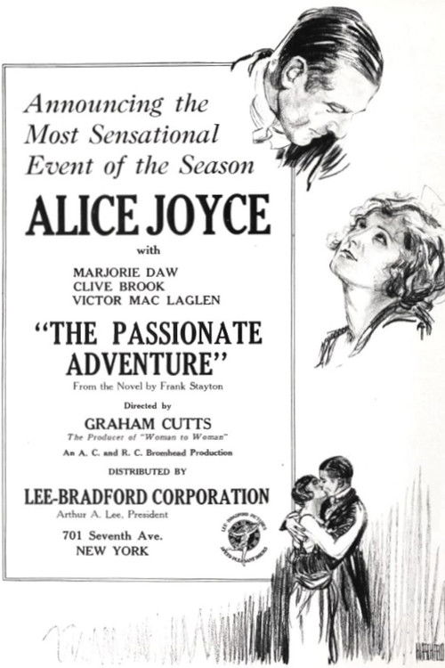 The Passionate Adventure (1924) poster