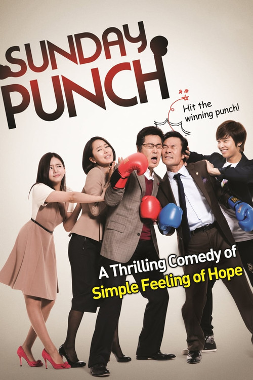 Sunday Punch (2011) poster