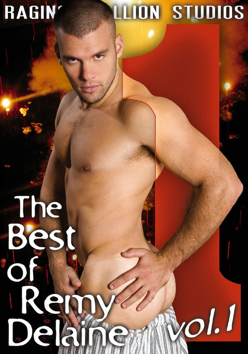 The The Best of Remy Delaine 1 (2008) poster