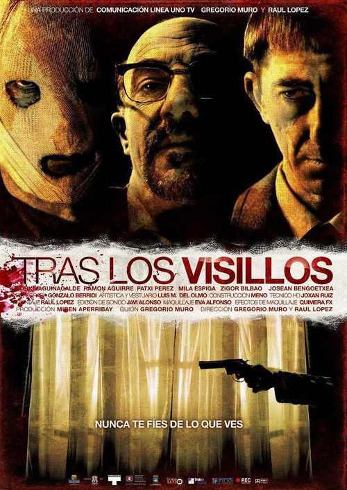 Tras los visillos (2009) poster